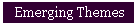 Emerging Themes
