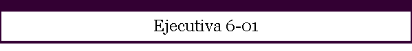 Ejecutiva 6-01