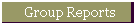 Group Reports