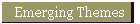 Emerging Themes
